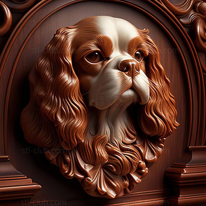 st King Charles Spaniel dog